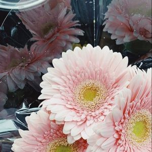 Meet your Posher, Cristal